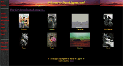 Desktop Screenshot of daveliggett.com
